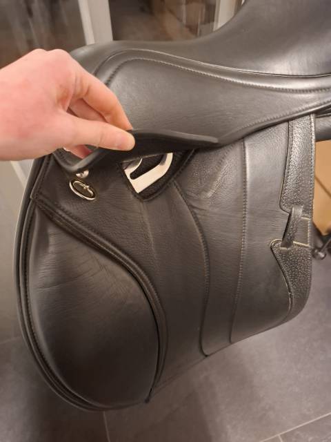 Winner Special Gavia 17"