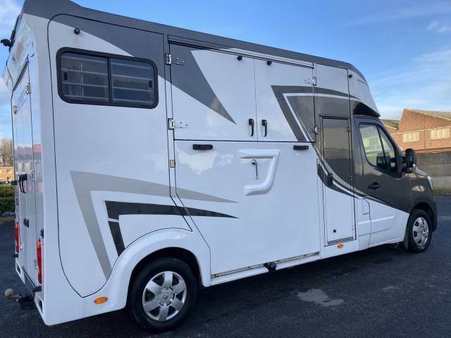 Van per Cavalli Ameline Master 3  2021 Occasione