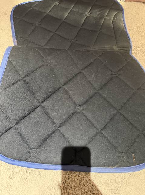  Covalliero Occasione