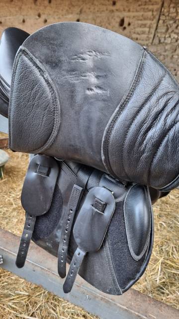 Sella da salto ostacoli KENT & MASTERS  17" - 2024