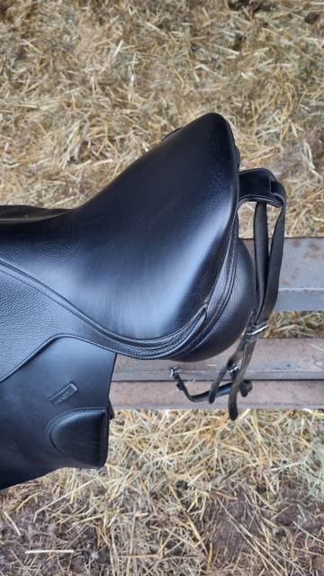 Sella da salto ostacoli KENT & MASTERS  17" - 2024