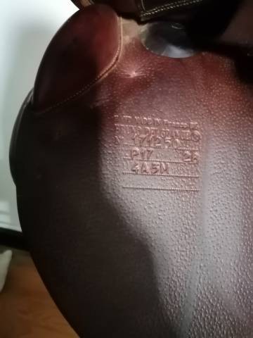 Sella da salto ostacoli Delgrange  17" - 2017