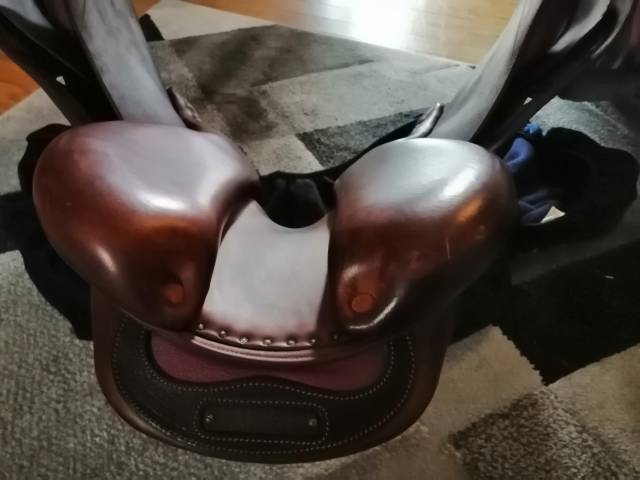 Sella da salto ostacoli Delgrange  17" - 2017