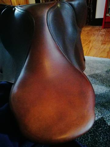 Sella da salto ostacoli Delgrange  17" - 2017