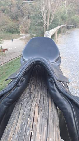 Sella Prestige Joy Jumper 16.5