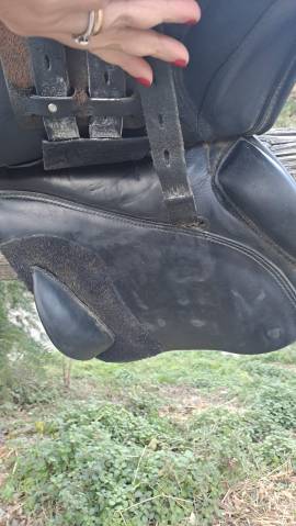 Sella Prestige Joy Jumper 16.5