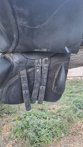 Sella Prestige Joy Jumper 16.5