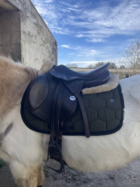 Sella da salto ostacoli Meyer  17" - 2021