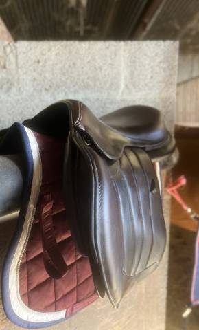 Sella mista Forestier  18" - 2023