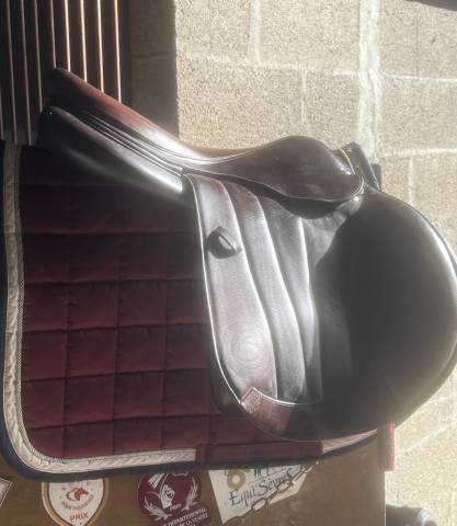 Sella mista Forestier  18" - 2023