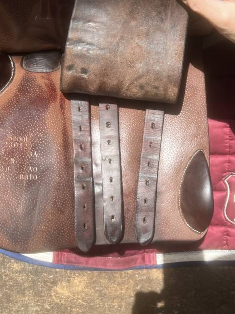 Sella mista Forestier  18" - 2023