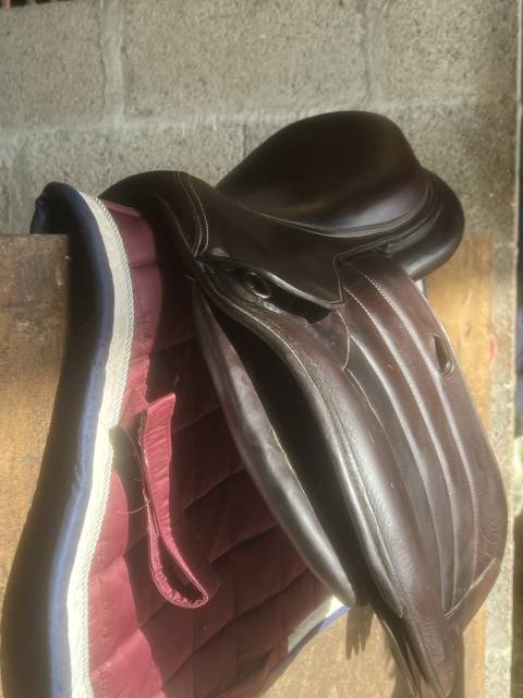 Sella mista Forestier  18" - 2023