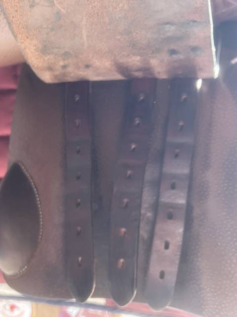 Sella mista Forestier  18" - 2023