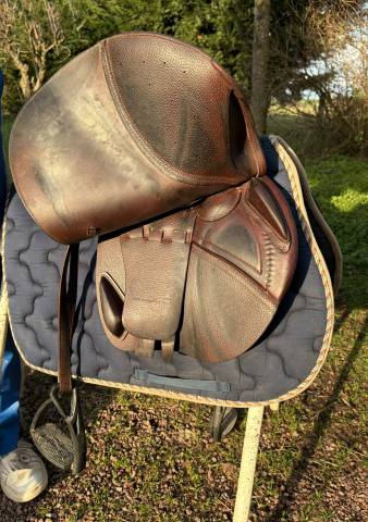 Sella mista CWD  18" - 2017