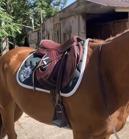 Sella da salto ostacoli CWD  17.5" - 2023