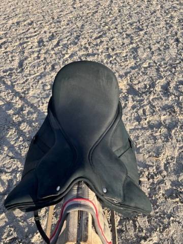 Sella da dressage Wintec Wintec Isabell HART 17.5" - 2024