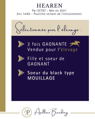 Cavalla Purosangue In vendita 2021 Baio