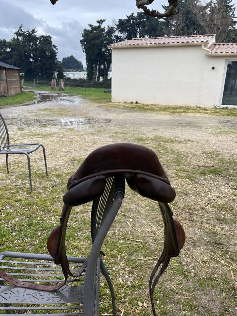 Sella da cross Rebelle  17.5" - 2025