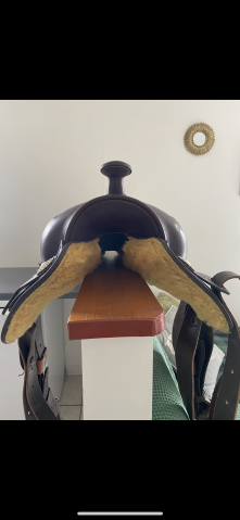 Sella western  Arvada Westride  16" - 2024