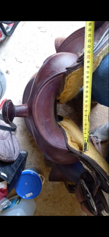 Sella western  Arvada Westride  16" - 2024