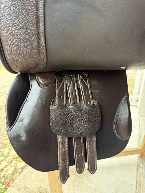 Sella mista Privil&egrave;ge Equitation  17.5" - 2021