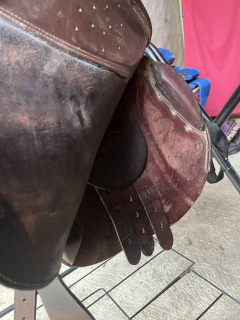 Sella da salto ostacoli Eric Thomas  17.5" - 2016