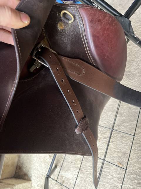 Sella da salto ostacoli Eric Thomas  17.5" - 2016