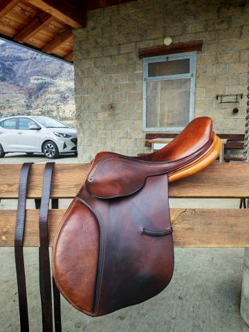 Sella da salto Whitaker 