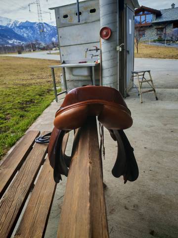 Sella da salto Whitaker 