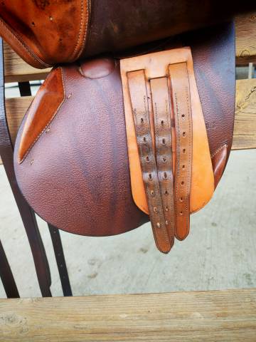 Sella da salto Whitaker 