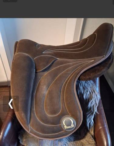 Altra sella  Signum 17.5" - 2025