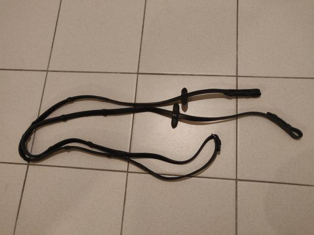  Waldhausen Occasione