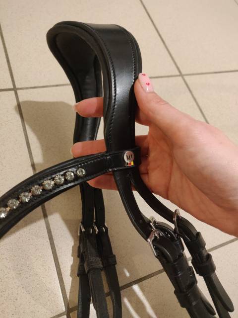  Waldhausen Occasione