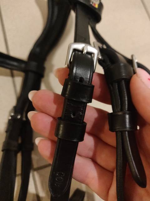  Waldhausen Occasione