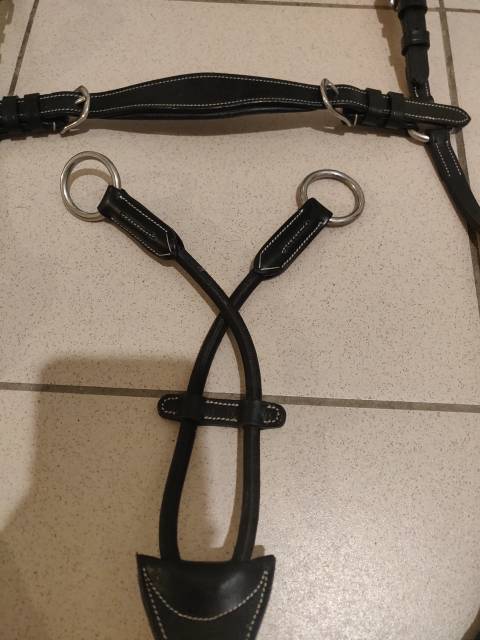  Harrys horse Occasione