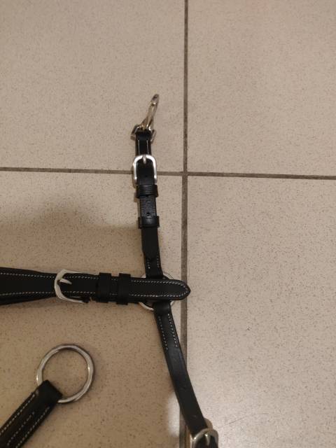  Harrys horse Occasione