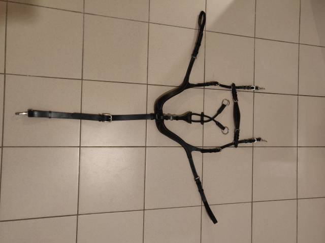  Harrys horse Occasione