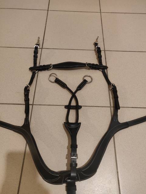  Harrys horse Occasione