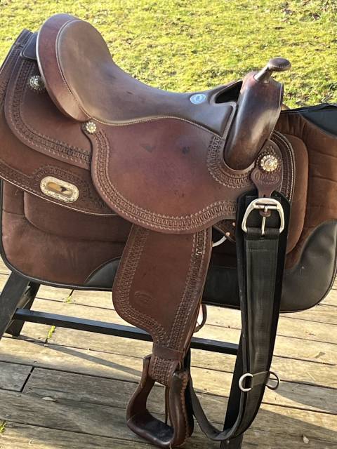 Sella western Pool's FQ 2010 18" - 2017