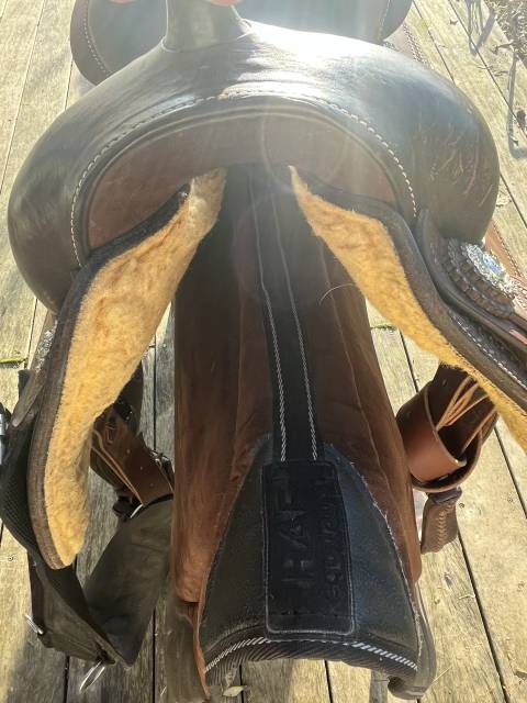 Sella western Pool's FQ 2010 18" - 2017