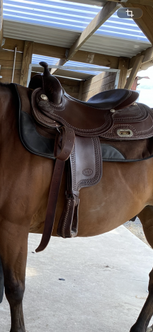 Sella western Pool's FQ 2010 18" - 2017