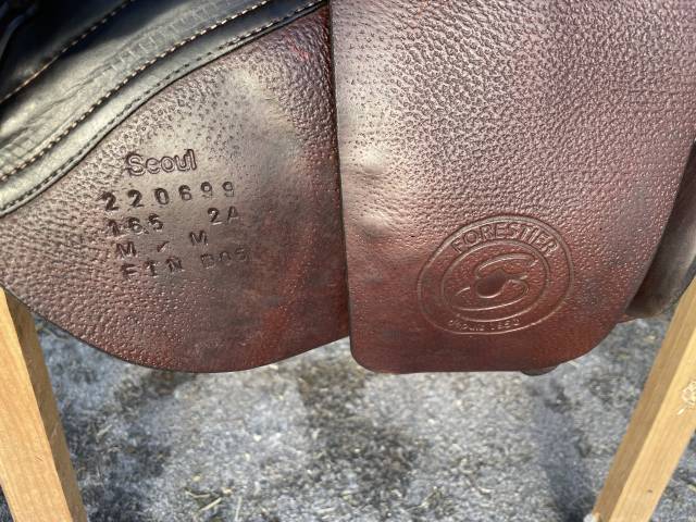 Sella da salto ostacoli Forestier  16.5" - 2022