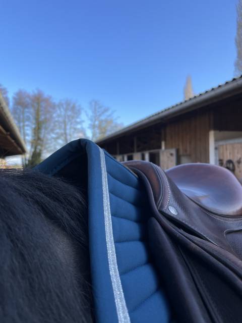 Sella da salto ostacoli Forestier  16.5" - 2022