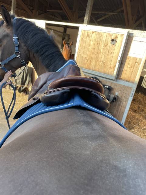 Sella da salto ostacoli Forestier  16.5" - 2022