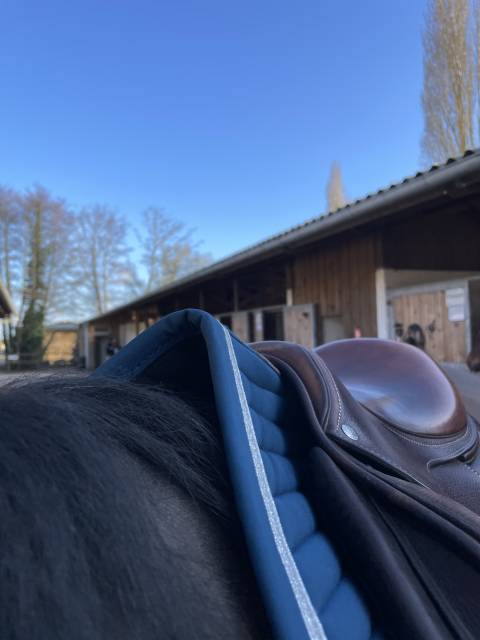 Sella da salto ostacoli Forestier  16.5" - 2022