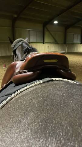 Sella da salto ostacoli CWD  17.5" - 2022