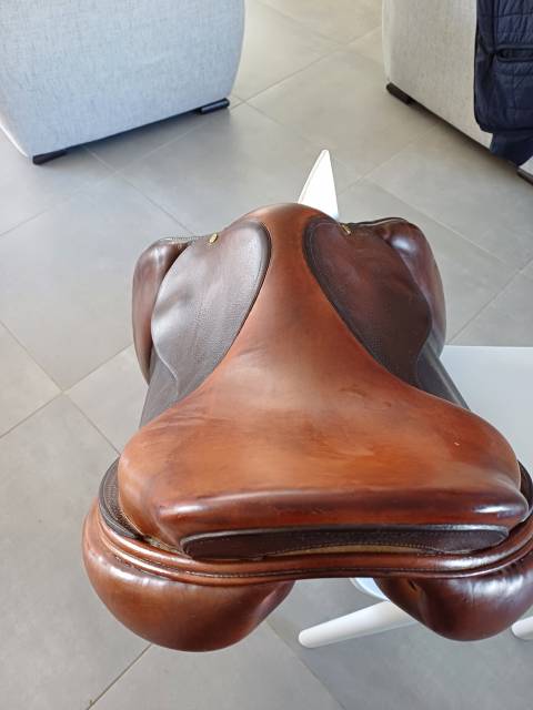 Sella da salto ostacoli Delgrange  18" - 2011