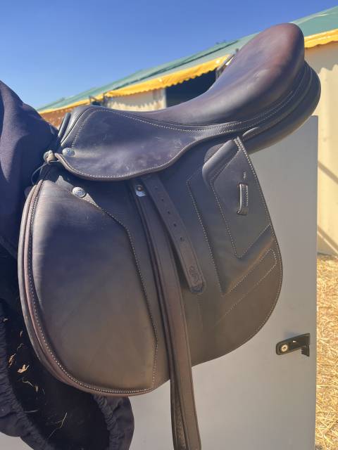 Sella da salto ostacoli Renaissance DF2 17" - 2022