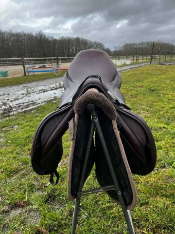 Sella da salto ostacoli CWD  17.5" - 2018