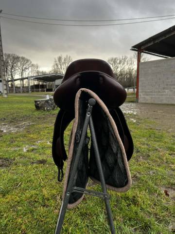 Sella da salto ostacoli CWD  17.5" - 2018